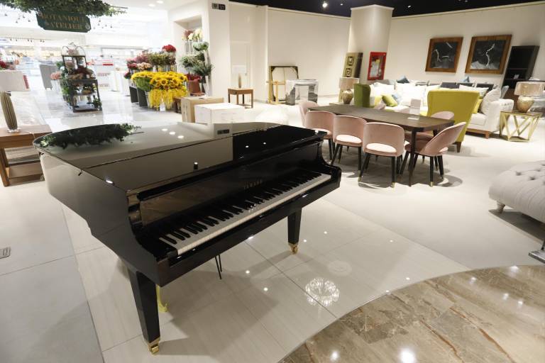 Cimaco Ceiba Culiacán abrirá al público el 21 de octubre 2021