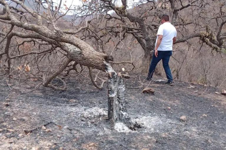 $!Daños por incendios forestales aumentan exponencialmente en Sinaloa