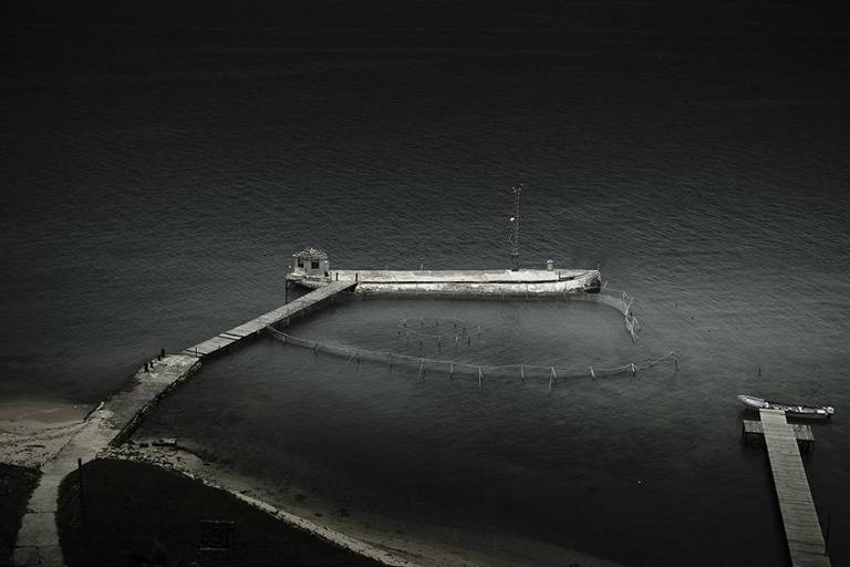 La mirada femenina a través de cinco fotógrafas latinoamericanas