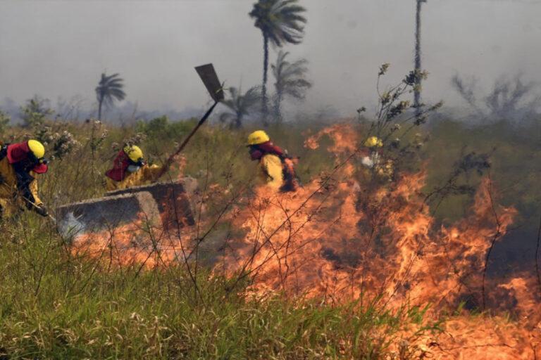 $!Los incendios forestales en Bolivia afectaron en 2024 más de 12.5 millones de hectáreas de bosques.