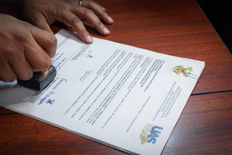El Servicio Social Universitario despliega a más de 12 mil 900 brigadistas en proyectos de impacto social, convirtiendo sus conocimientos en acciones para la comunidad