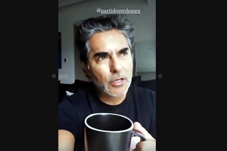 INE pide a redes eliminar mensajes de ‘influencers’ que piden votar por PVEM