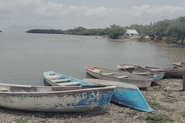 $!Pesca Sinaloa indica alta salinidad y temperatura en agua de mar, que afecta la proliferación de fauna marina