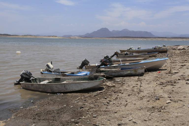 Sinaloa tiene solo 6.84% de agua en presas y 16 municipios en sequía extrema: Conagua