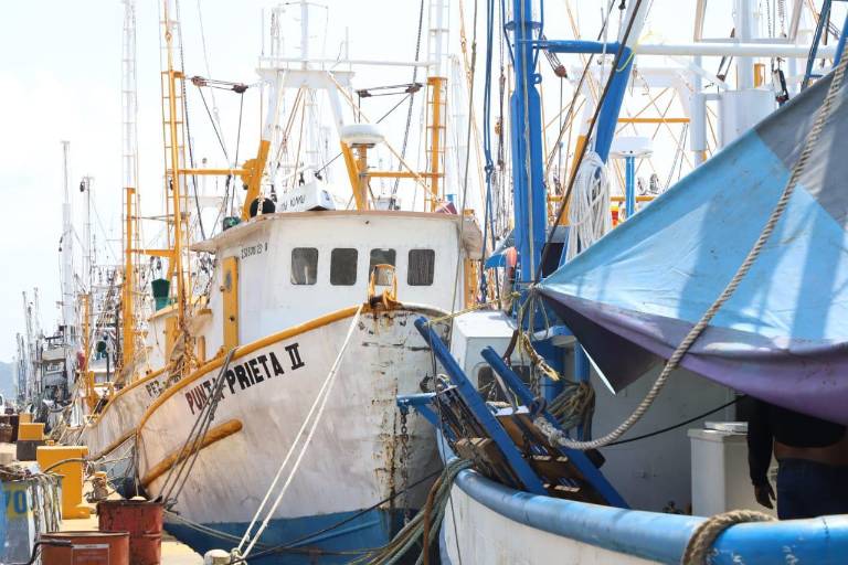 Confirman en Mazatlán las fechas de arranque para la pesca del camarón