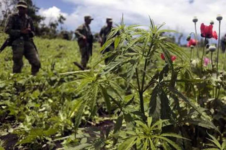 Cooperación entre EU y México para combatir al narco, detenida desde enero: Reuters