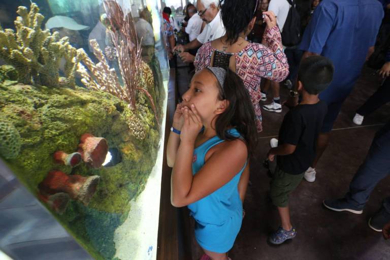 El Gran Acuario Mazatlán recibió a sus primeros visitantes este sábado