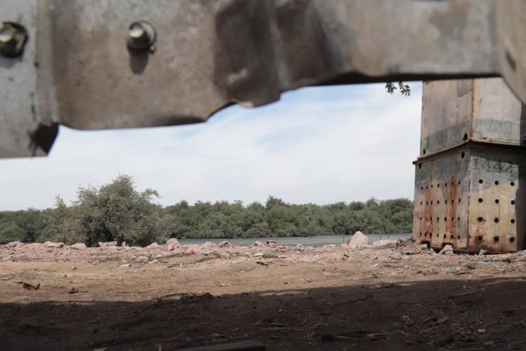 Invasión en Parque Bonfil continúa extendiéndose por varios terrenos del manglar