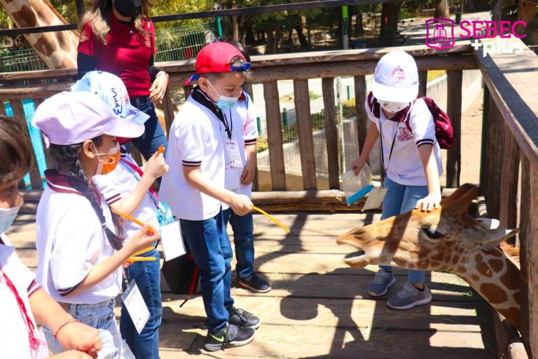 De visita en el Zoológico