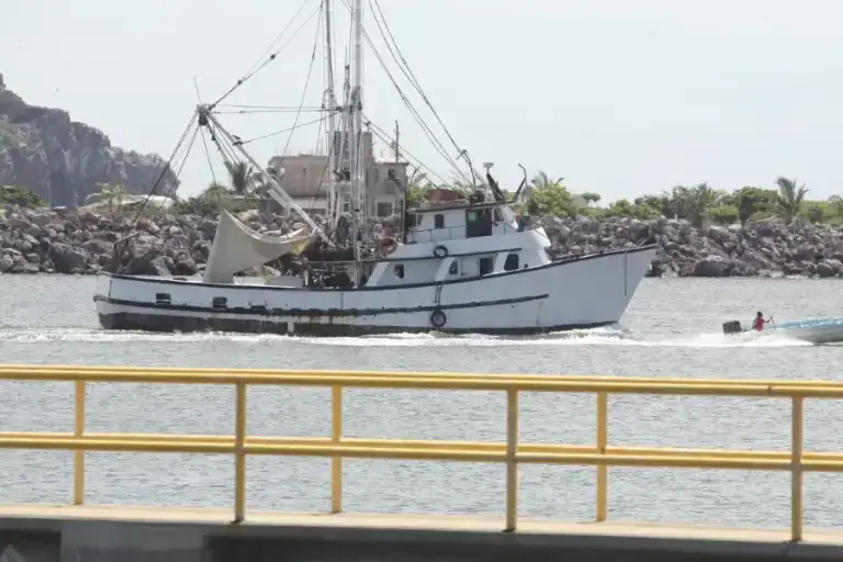 $!Sinaloa, motor pesquero de México en el Día Mundial de la Pesca