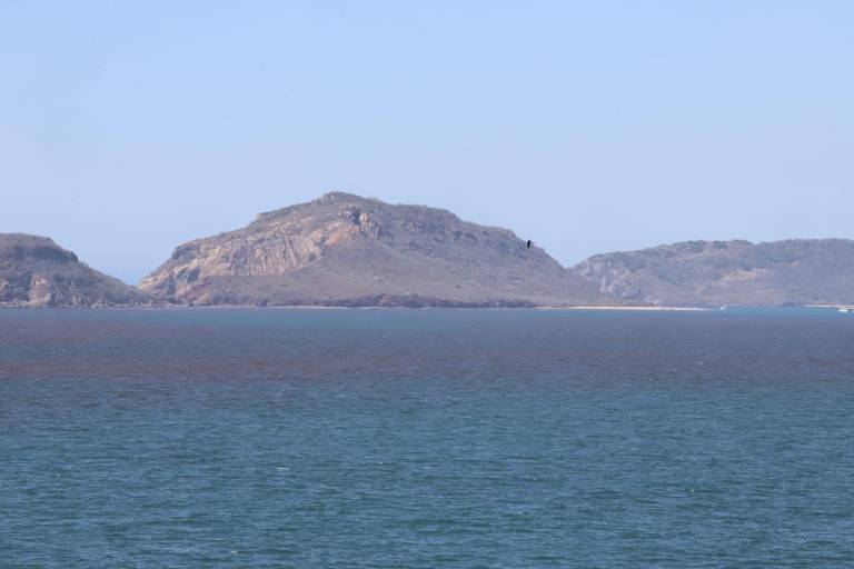 Marea roja en la bahía de Mazatlán, preocupa por su toxicidad e impacto ambiental