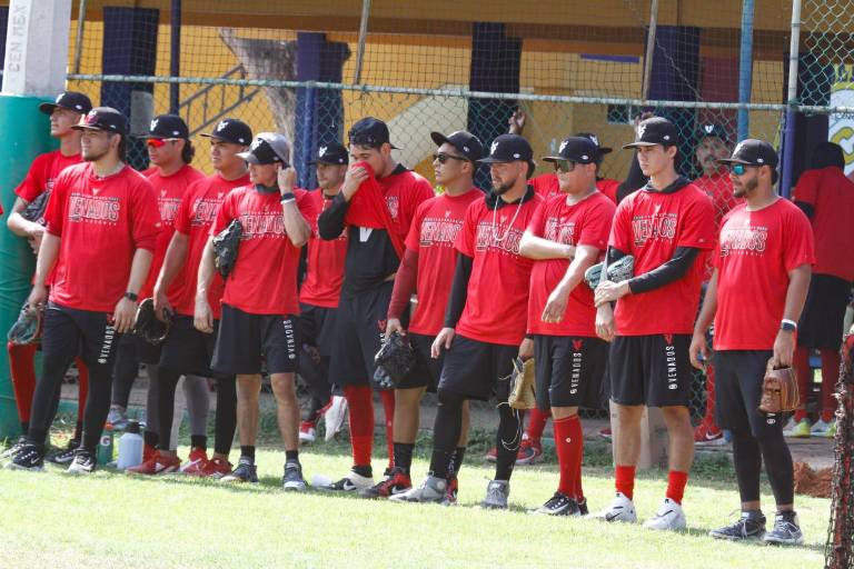 Venados de Mazatlán tomará forma en los próximos días