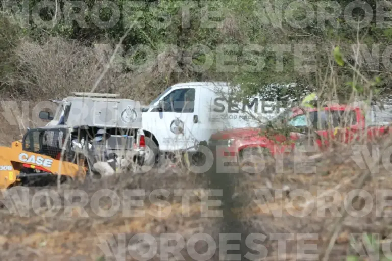 En un predio cercano a la comunidad de El Verde, Concordia, localizaron fosas clandestinas donde hallaron los restos de los mineros desaparecidos en ese Municipio.