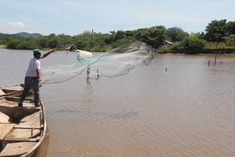 ‘Se ve crítico el panorama para la pesca en Chametla’: síndico