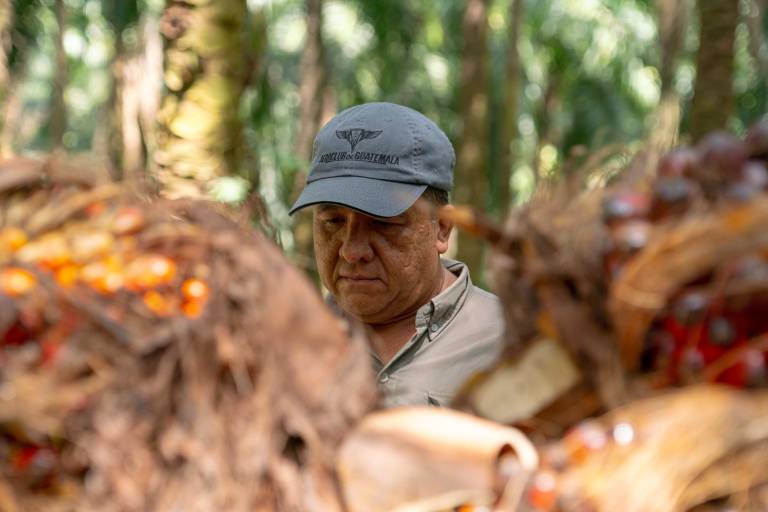 Hugo Alberto Molina Botrán: “La innovación en Grupo HAME nos abre puertas a mercados globales”
