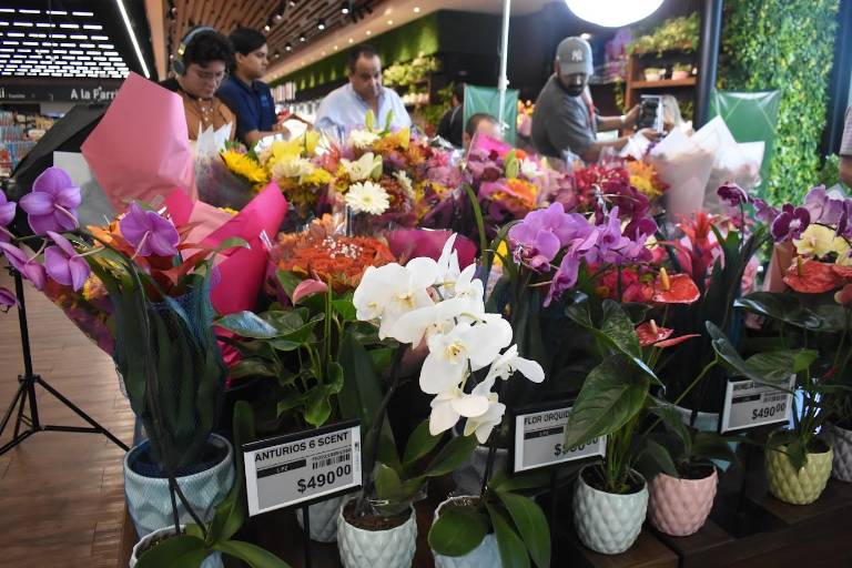 Llega Fresh Market a La Primavera con la frescura y calidad de productos