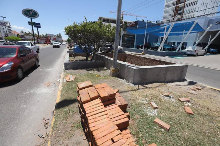 Invierten $1.2 millones en jardineras exprés en camellón en la zona inundable de la Avenida Reforma