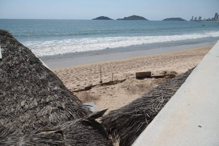 Denuncian expansión hormiga de palapas en playas de Mazatlán