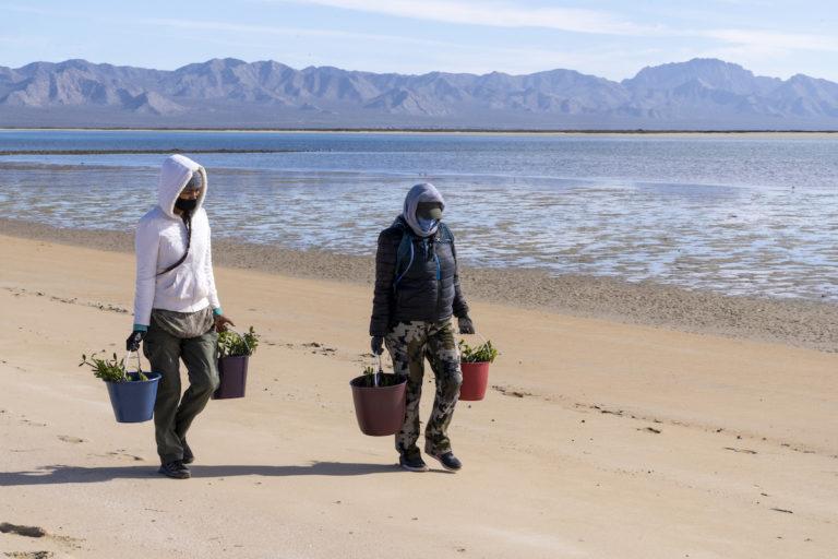 $!Día mundial de la adaptación al cambio climático: cuatro ejemplos exitosos en América Latina que necesitan ser apoyados