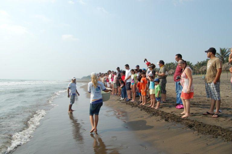 $!Grupos de jóvenes llegan con frecuencia a El Raudal a vivir las liberaciones de tortugas marinas.