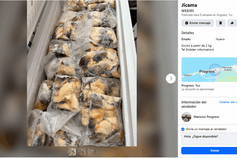 $!Jícama: la palabra clave en México para vender ilegalmente caracol rosado en redes sociales