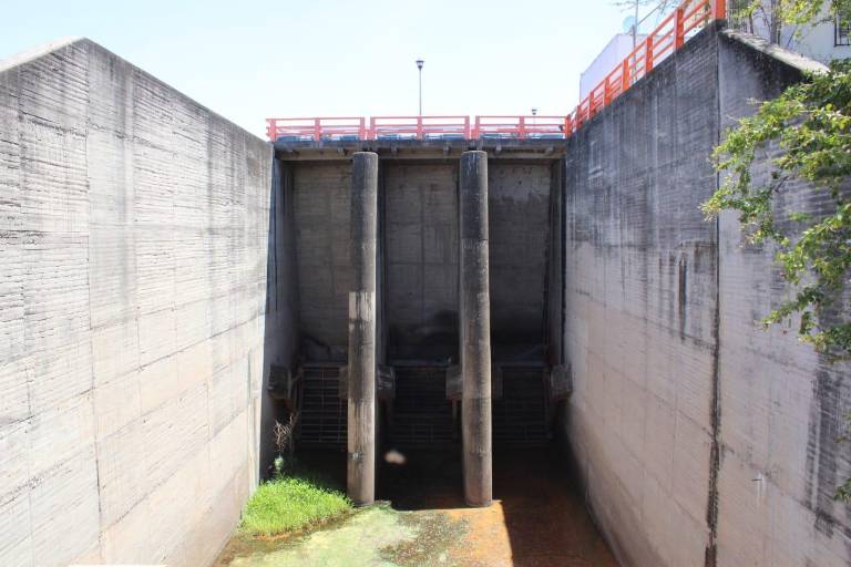 Temporada de mango en el sur de Sinaloa se encuentra en riesgo por cierre de la presa Santa María: AARB