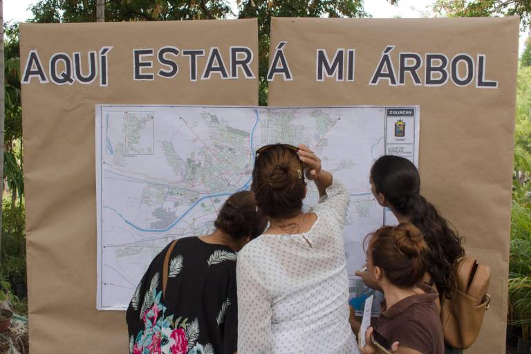 Por la reforestación sinaloense