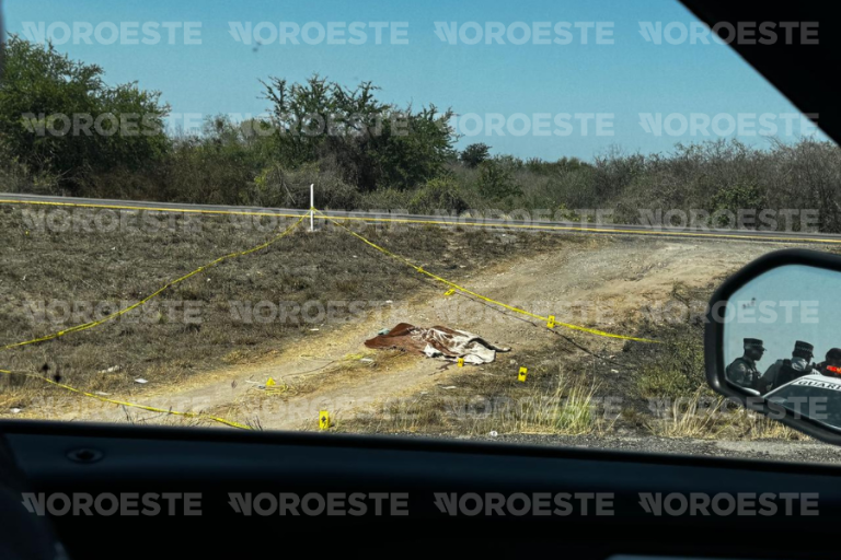 Encuentran cuerpo sin vida a un costado de la Maxipista Culiacán–Mazatlán