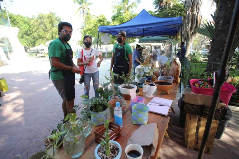 Regresa el Mercado Orgánico a Mazatlán los sábados en la Plazuela Zaragoza