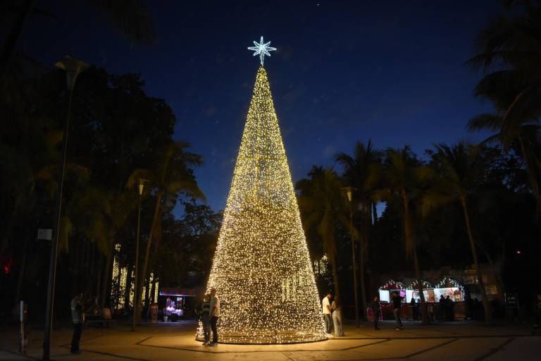 Despiden las luces más brillantes del Botánico