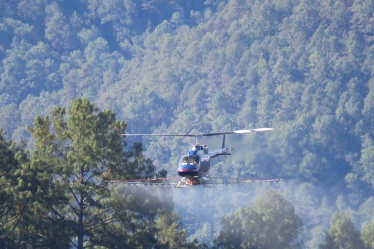 $!Las plagas se combaten desde el cielo y la tierra.