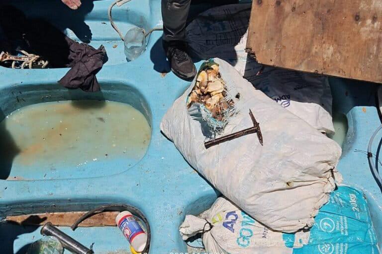 $!Jícama: la palabra clave en México para vender ilegalmente caracol rosado en redes sociales