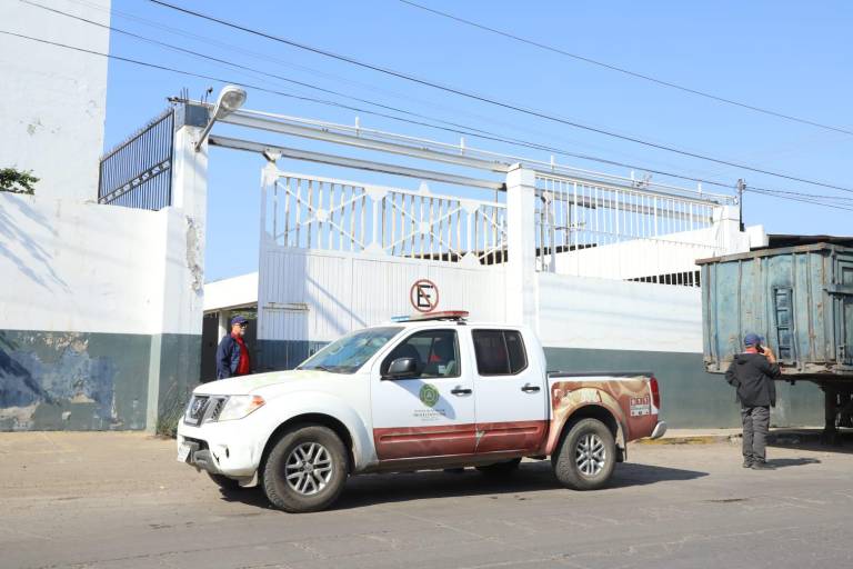 Reportan fuga de amoniaco en congeladora de Mazatlán; la descartan