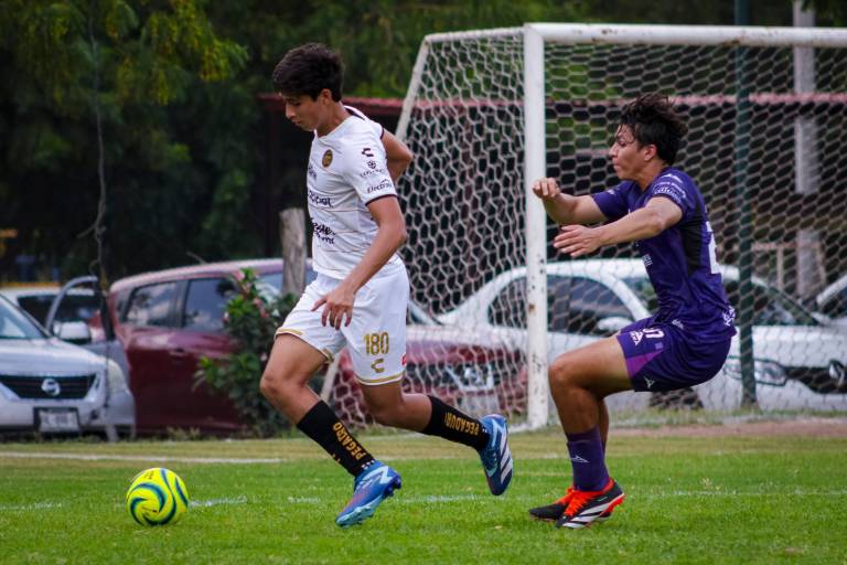 Listo el camino para Dorados de Sinaloa en la TDP