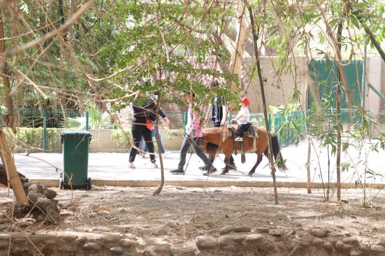 Disfrutan de un paseo salvaje en el Zoo de Culiacán