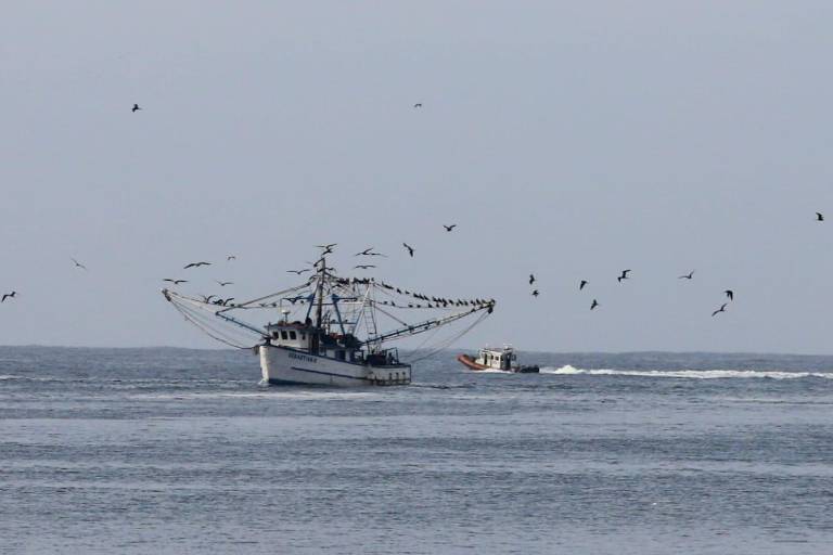 ‘Me tocó torear al Olivia embarcado, sobrevivimos a la furia de ventarrones y mareas’: Ricardo Michel