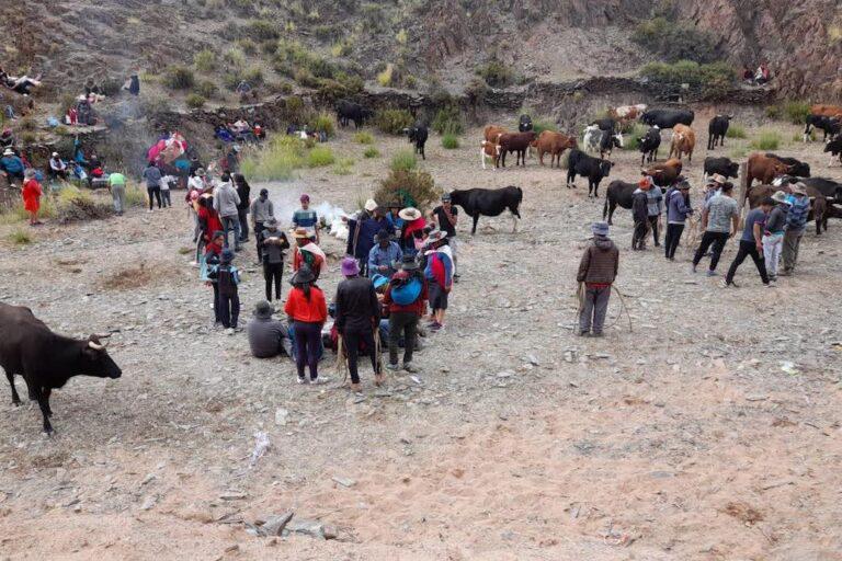 $!Diez comunidades atacameñas ubicadas al norte de Argentina fueron reconocidas como áreas TICCA (territorios y áreas conservados por los Pueblos y Comunidades Indígenas).