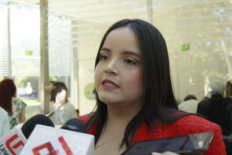 Lamenta líder del PRI Sinaloa golpeteo al interior del partido