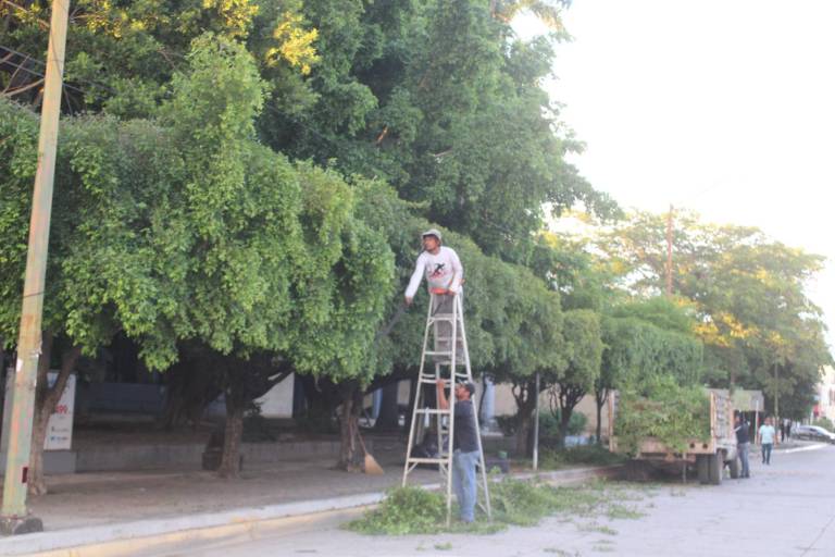 Gobierno realizará jornada de limpieza con motivo de la fiesta de la Virgen del Rosario
