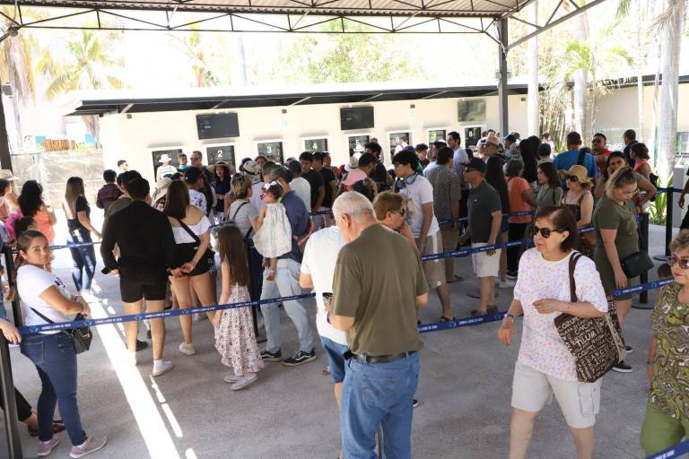 Visitantes del Gran Acuario Mazatlán extrañan el show de lobos marinos