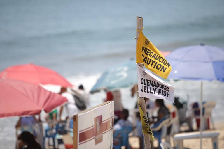 Alertan a bañistas con banderas de precaución y quemadores en Mazatlán