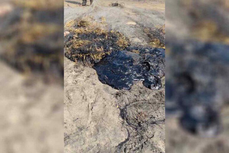 $!Cierran playas de Pajapan, Veracruz, por derrame de hidrocarburos; Pemex se deslinda