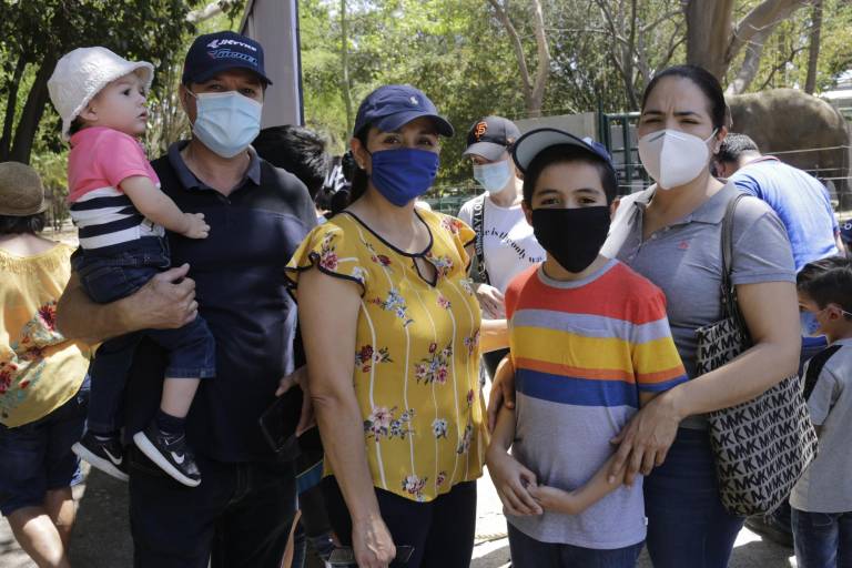 Conocen al elefante Big Boy