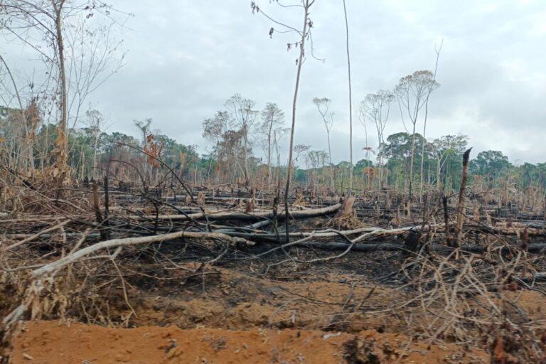 $!Disputa por la Amazonía: 17 grupos armados y redes criminales operan en el 69 % de la región