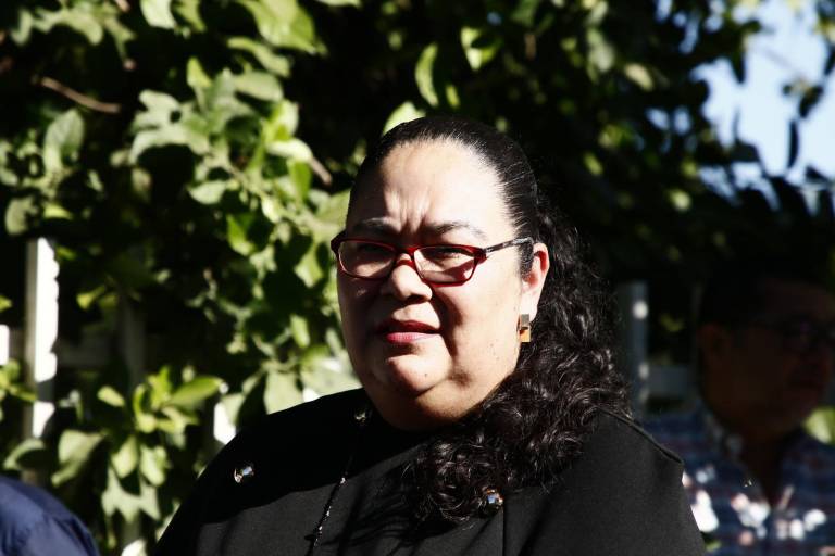 Cierra Instituto de Protección a Periodistas con tres activistas fuera del estado