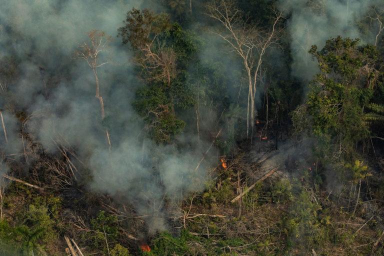 $!Altamira, Para, Brasil. Incendio en Cerra do Cachimbo REBIO.