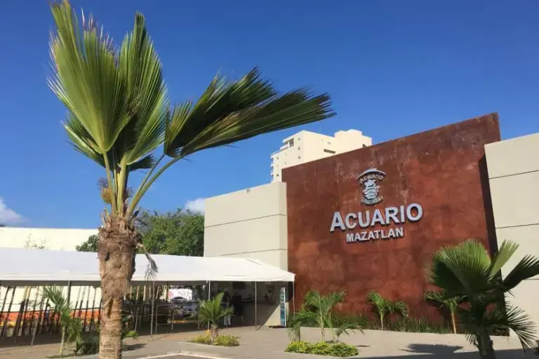 $!Gran Acuario Mazatlán adeuda más de $45 millones al Ayuntamiento: Observatorio