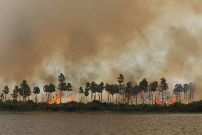 $!El incremento de los incendios forestales es uno de los problemas del cambio climático.