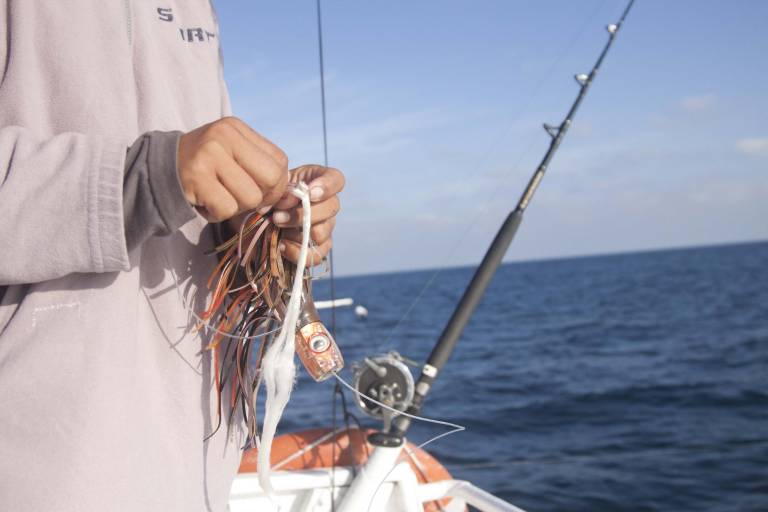 Se viene el Primer Torneo de Pesca InfoAgro Exhibition Mazatlán 2021