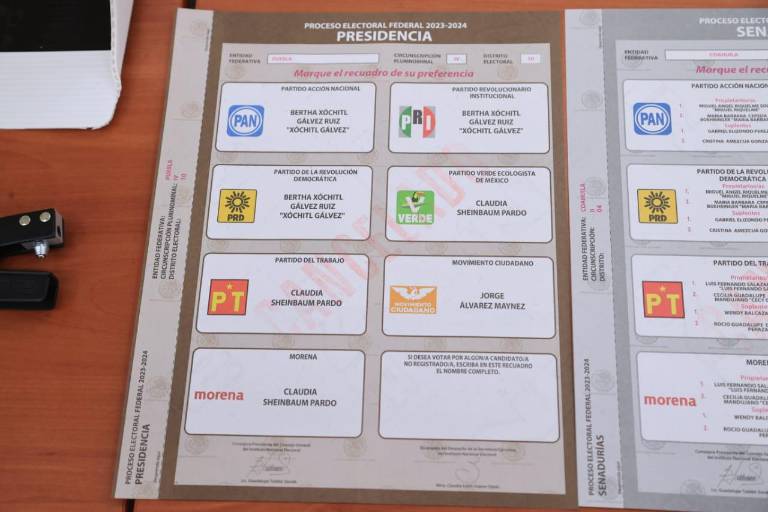 ¿Ya sabes cómo marcar la boleta para evitar caer en el voto nulo?